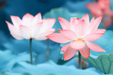 Kraniosakrálna terapia